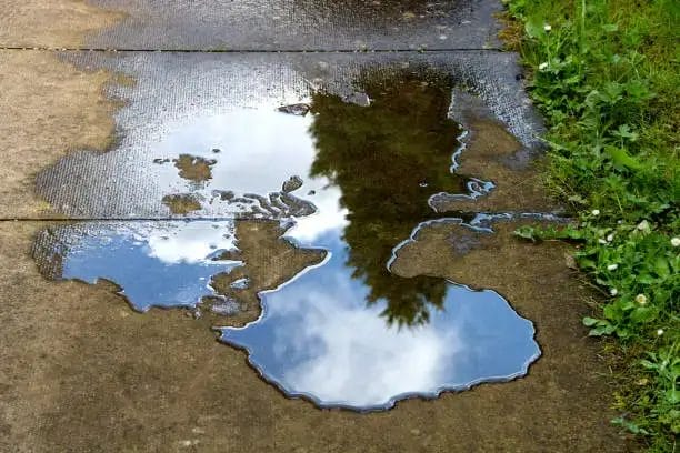 A puddle on a sidewalk reflects the sky and a tree, next to a patch of green grass.